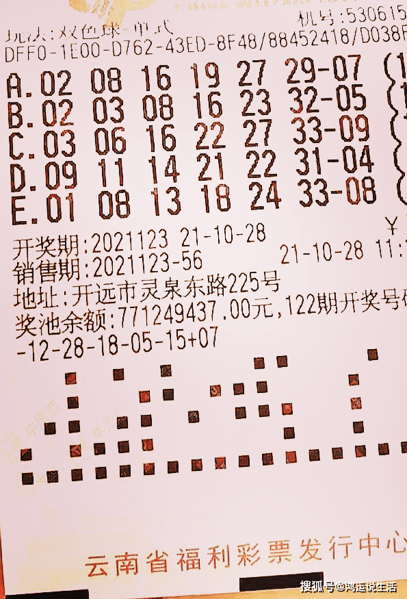 双色球最新开奖号码,双色球最新开奖号码，探索与期待