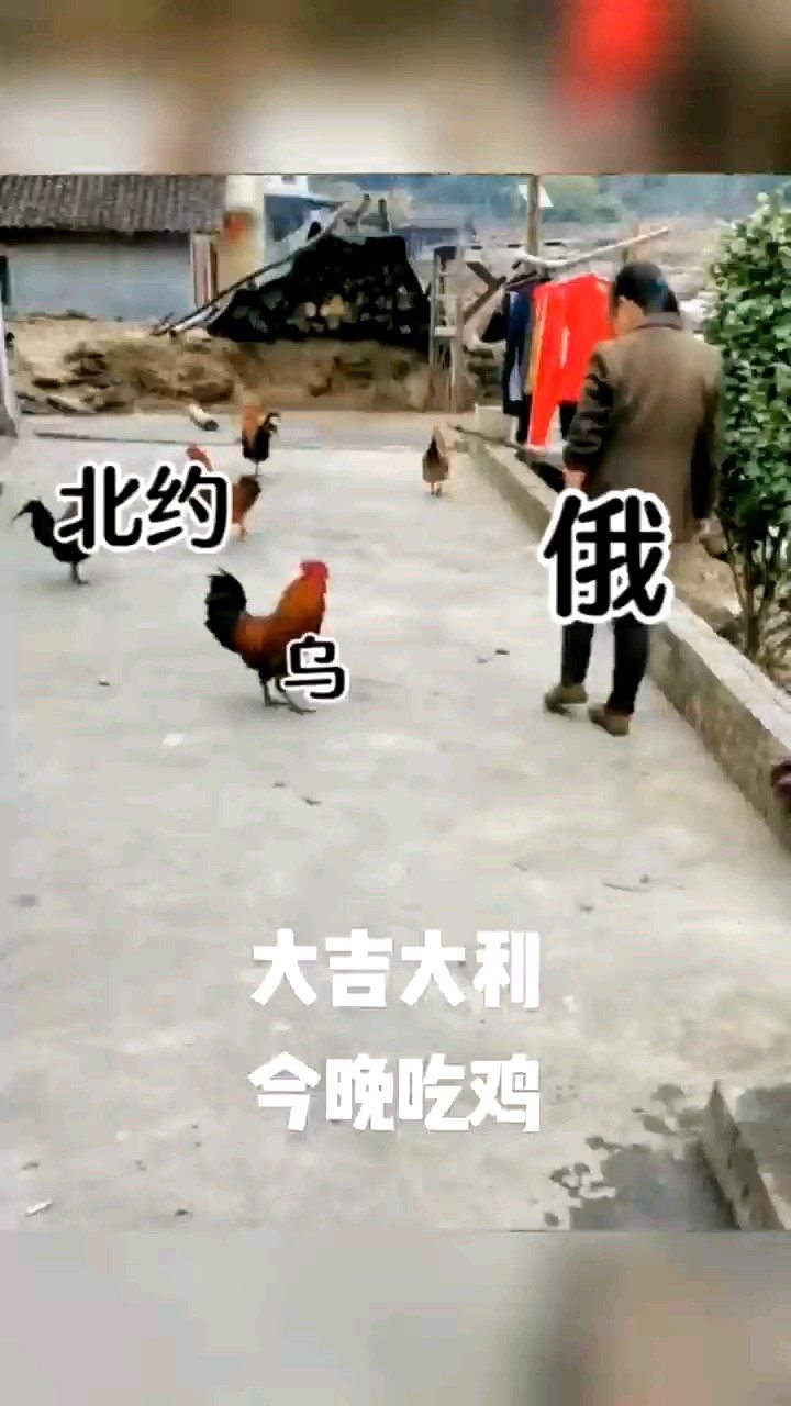 俄乌局势最新消息1小时前,俄乌局势最新消息，局势动态与影响分析（1小时前）