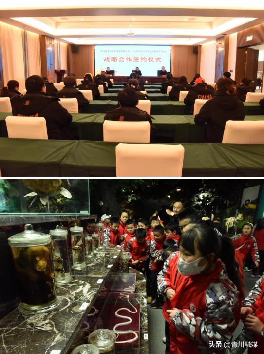 火箭队最新消息,火箭队最新消息，蓄势待发，展现新篇章