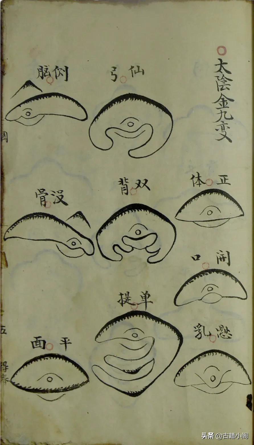 九星霸体诀最新更新,九星霸体诀最新更新，修炼之路的新篇章