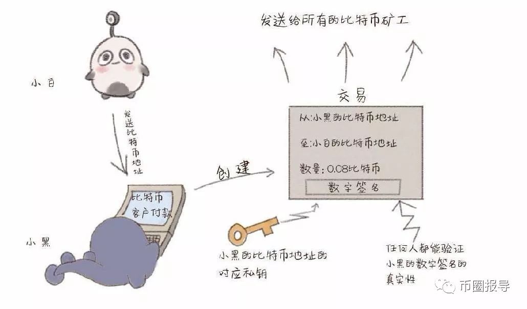 币圈最新消息,币圈最新消息深度解析