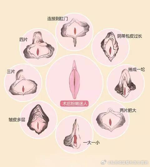 女人大荫蒂毛茸茸视频:25-28-39-41-44-45H：14,探索女性私密之美的独特魅力——关于女人大荫蒂毛茸茸视频的探索
