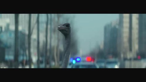 国产在线无码精品电影网:02-15-21-33-39-45A：02,关于国产在线无码精品电影网的探索与解析，一场文化与技术的融合之旅