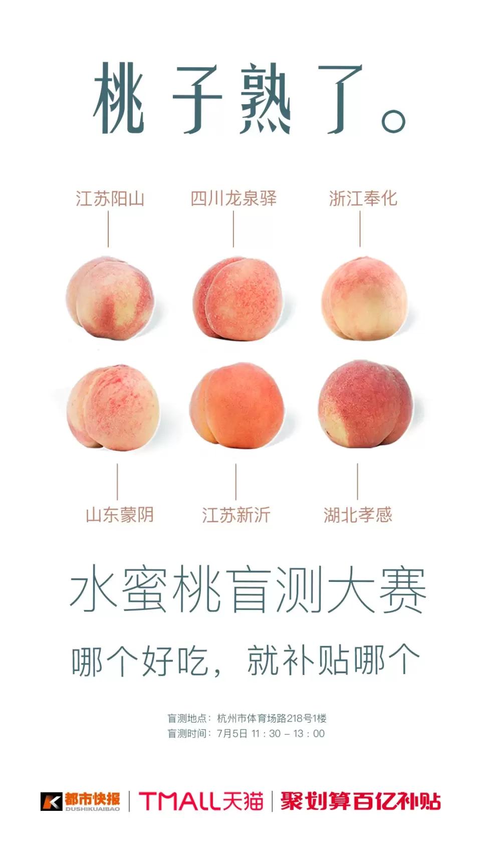 久久精品水蜜桃AV综合天堂:12-14-27-33-48-49Y：41,久久精品水蜜桃AV综合天堂，探索数字背后的独特魅力