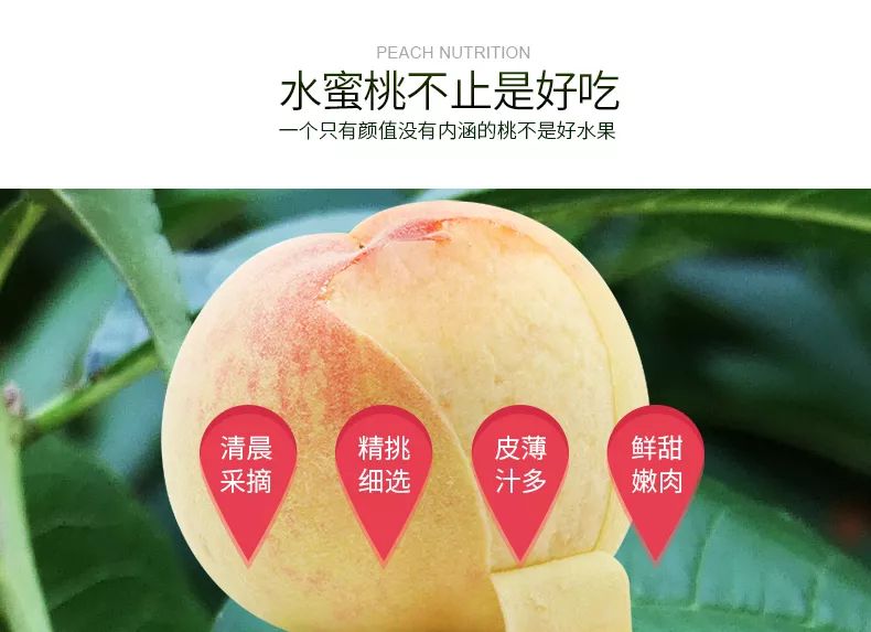 久久精品久久久久观看99水蜜桃:10-21-28-36-40-46W：15,久久精品，探索久久观看平台与99水蜜桃的魅力时光