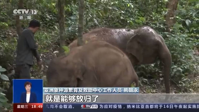 国产精品久线在线观看:02-05-15-20-32-37W：27,国产精品久线在线观看，探索中国制造的独特魅力与价值