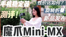 亚洲精品自产拍在线观看:12-13-19-25-34-49Z：38,亚洲精品自产在线观看，探索数字背后的故事