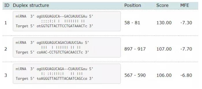 一本AV高清一区二区三区:01-12-20-25-34-43Z:48,一本AV高清一区二区三区,深度探索数字娱乐的新境界(01-12-20-25-34-43Z,48)