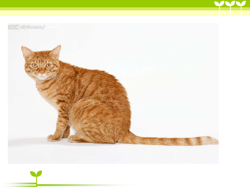 人禽杂交18禁网站免费:01-08-10-23-44-49B:14,关于网络内容与道德伦理的探讨——以人禽杂交等关键词为例