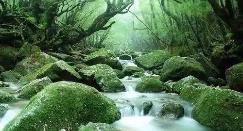 雁过拔毛 第6页