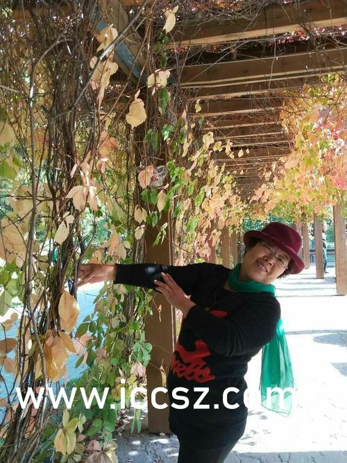 邻居少妇张开腿让我爽了一夜视频:16-18-25-35-40-48Z：23,关于网络视频内容与个人隐私的思考
