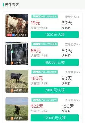 摩肩接踵 第5页