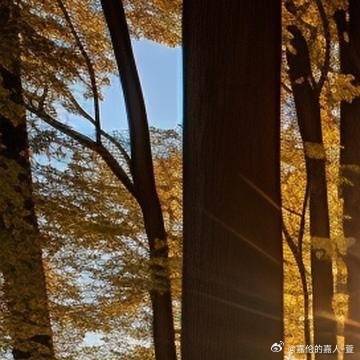 日日摸日日添日日透:05-09-17-27-35-46K：10,日日摸日日添日日透，一场数字与生活的独特交融