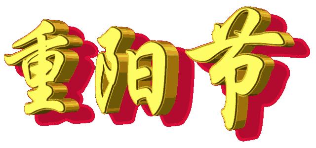 九九99久久精品综合:04-11-21-26-41-47L：14,九九99久久精品综合，探索数字背后的深意与独特魅力