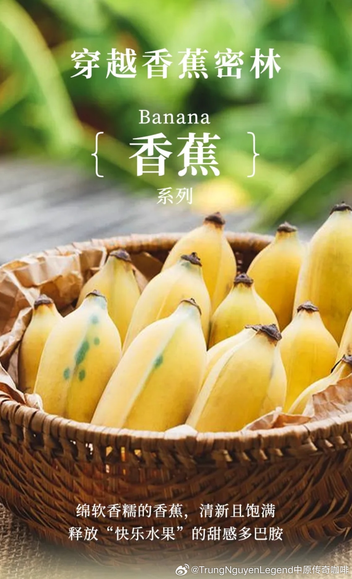 九九精品99久久久香蕉:11-16-27-28-31-47N：37,九九精品与香蕉的奇妙世界，探索未知的魅力与独特体验