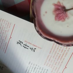 色老99久久九九爱精品:08-13-33-39-45-48M：40,色老99久久九九爱精品，探索数字背后的深层含义与情感表达