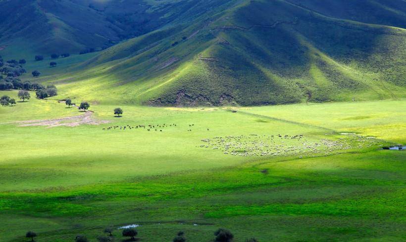 国产成人亚洲精品无码青青草原:11-14-22-26-31-45V:06,青青草原上的国产成人亚洲精品探索之旅