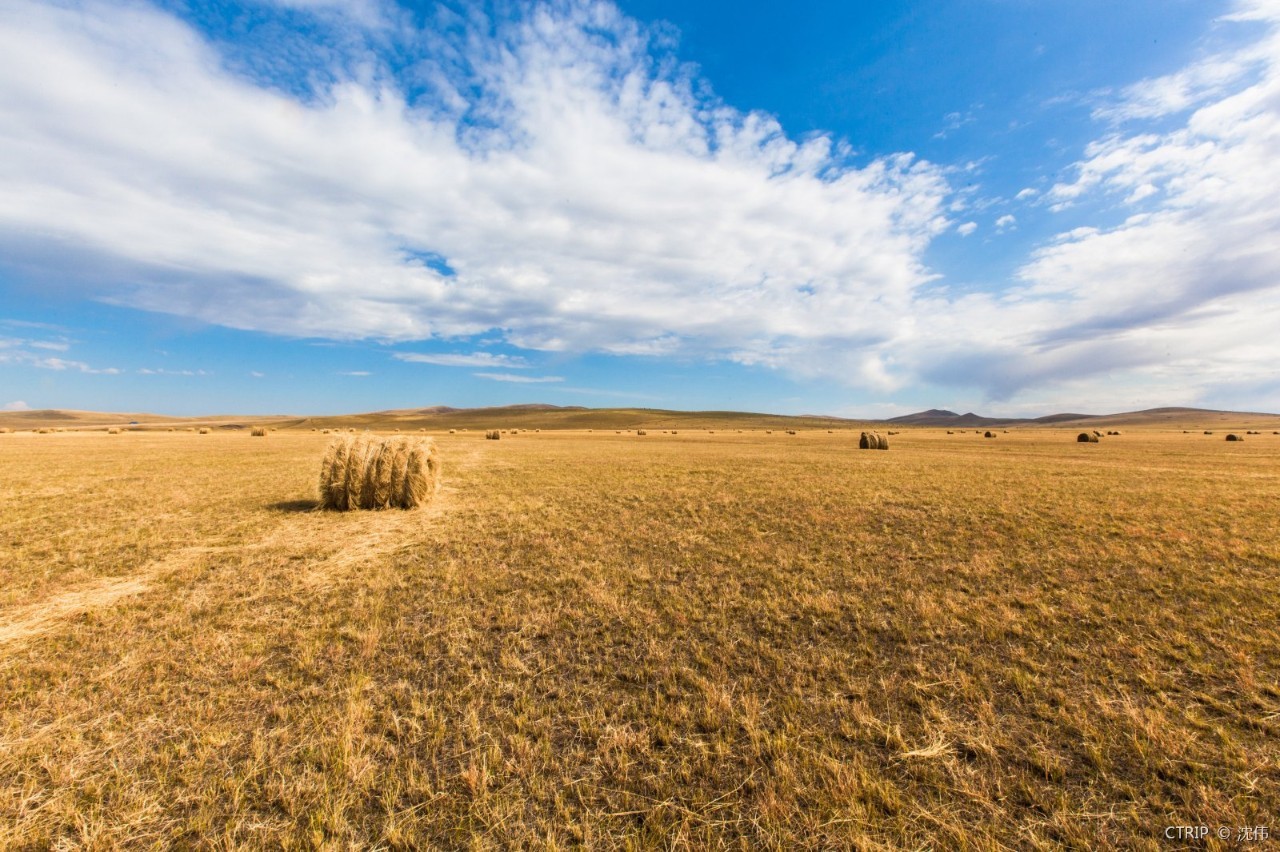 国产成人亚洲精品无码青青草原:11-14-22-26-31-45V:06,青青草原上的国产成人亚洲精品探索之旅