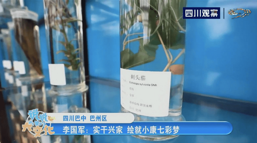 无码喷水一区二区浪潮AV:14-19-21-35-40-43R：45,关于无码喷水一区二区浪潮AV的探讨
