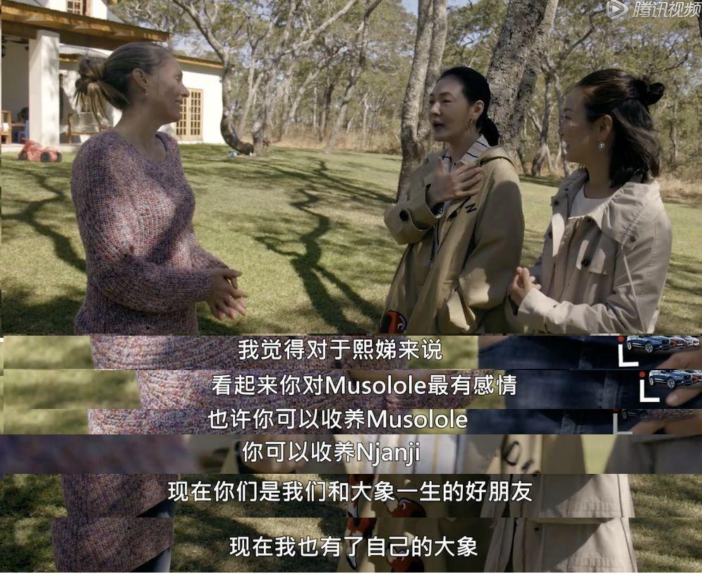 国产成人亚洲高清一区:03-13-24-32-34-44Q：48,关于国产成人亚洲高清一区的研究与探索，一场视觉盛宴的多元解读