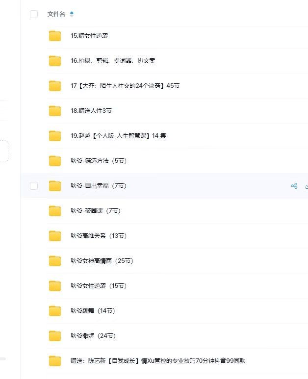 久久国内精品自在自线400部:04-20-29-39-41-46J：09,久久国内精品自在自线系列，深度探索与赏析（共40部）