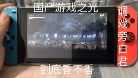 手机国产乱子伦精品视频:02-19-30-38-45-47M：49,探索国产手机精品视频，一场视觉盛宴的解析