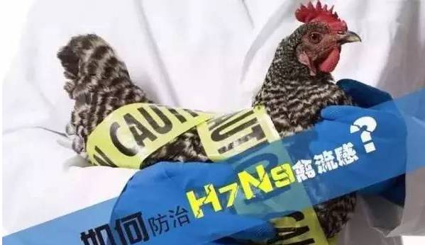在线精品亚洲第一区焦香:03-19-21-22-40-49J：48,在线精品亚洲第一区焦香，探索魅力与独特韵味
