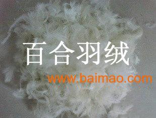 国产毛片毛多水多的特级毛片:06-29-37-44-47-49X:46,国产毛片毛多水多的特级毛片,深度探索与赏析