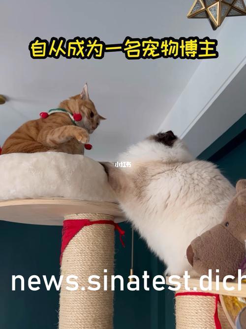 巨爆乳中文字幕巨爆区巨爆乳无码:03-05-13-18-31-33K：25,巨爆乳的魅力，中文字幕下的巨爆区探索