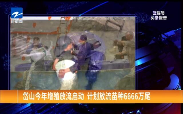 国内精品国产三级国产av:06-16-18-23-32-37T：20,探索国内精品国产影视文化，聚焦三级国产AV的发展与变迁