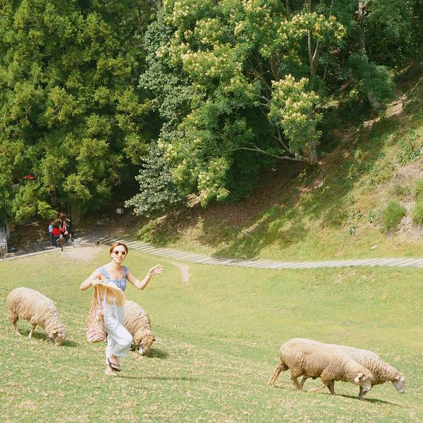 亚洲高清国产AV拍精品青青草原:01-17-19-23-25-43W:09,青青草原上的高清国产精品影像艺术之旅