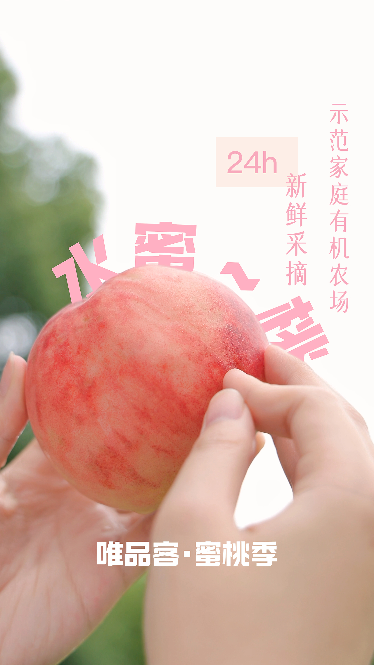 雪白 第5页