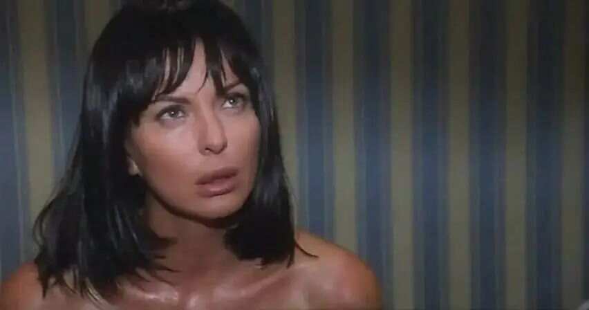 夜夜高潮天天爽欧美:02-11-18-23-46-47E:09,夜夜高潮天天爽欧美,探索未知的欲望与全球文化的交融