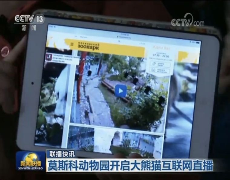 特黄特色一级无码免费视频:10-15-26-32-43-49E:12,关于特黄特色一级无码免费视频的探讨与解析