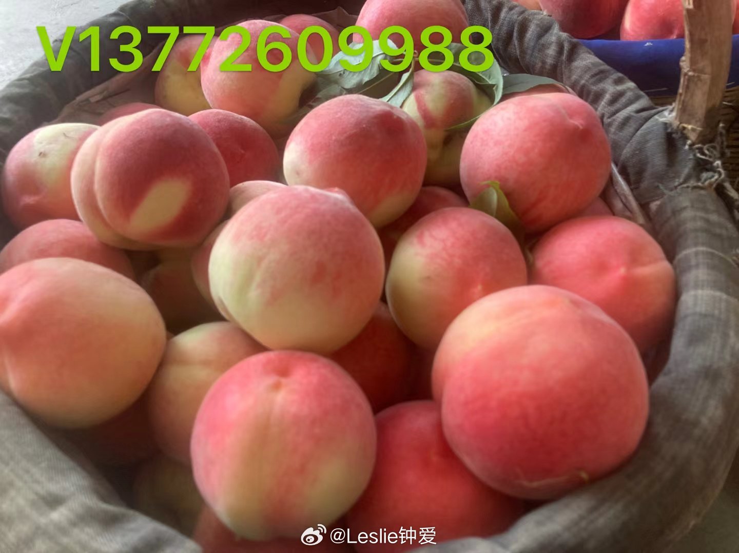 久久精品久久久久观看99水蜜桃:16-19-31-38-46-48Q：16,久久精品，探索久久久观看的魅力与独特之处，品味水蜜桃般的甜蜜时光