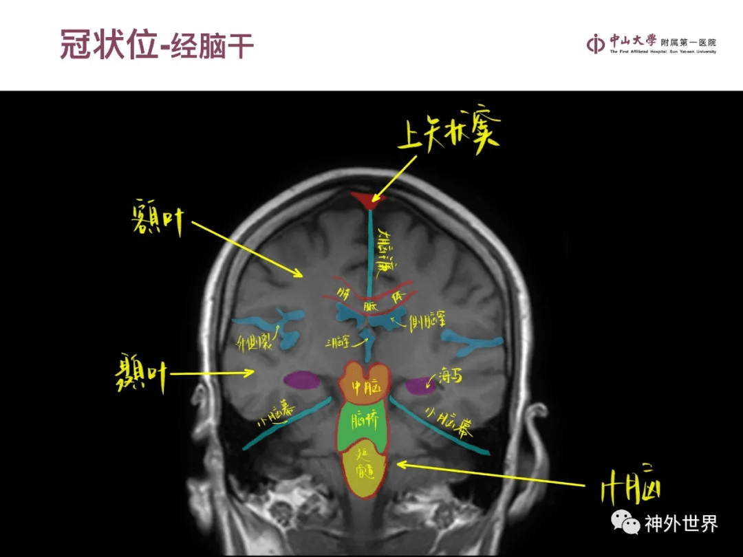 国产精品亚洲产品一区二区三区:06-07-24-31-34-49S：49,探索国产精品，亚洲产品的独特魅力与一区、二区、三区的深度解析（06-07版）