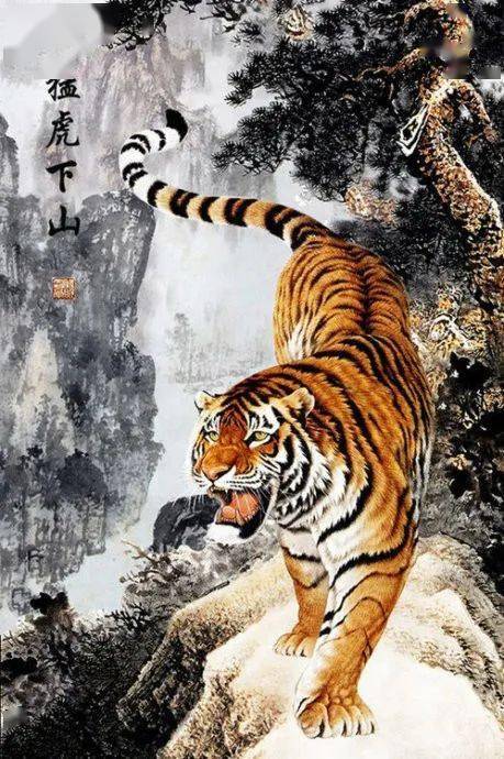 四虎永久在线精品免费一区二区:06-09-35-37-42-48P：46,四虎永久在线精品免费一区二区，探索优质内容的无限可能