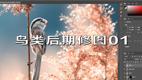 亚洲国产精品原创巨作av:01-18-28-43-45-47V：42,亚洲国产精品原创巨作，探寻数字背后的文化魅力