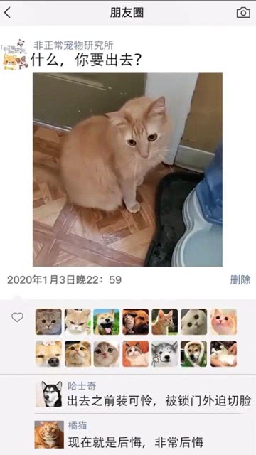 顶弄裸睡的丹丹 第二部分:04-06-09-23-27-38N：47,顶弄裸睡的丹丹，一场独特的梦境之旅
