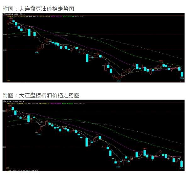 国内精品自在自线视频:05-11-15-16-35-38V：37,国内精品自在自线视频，探索与赏析