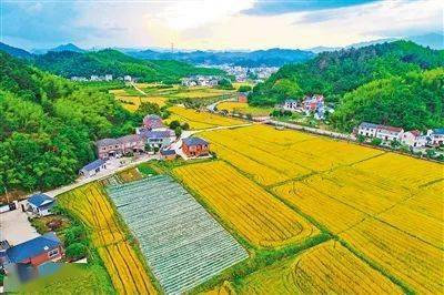 国产麻豆精品一区:09-12-14-33-38-42Y：36,国产麻豆精品一区，探索时尚与文化的交融之美