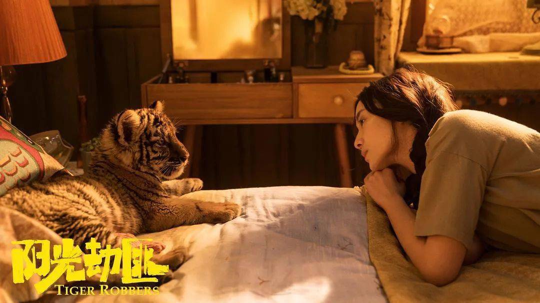 午夜福利AV无码一区二区:09-11-20-26-27-43N:01,午夜福利AV无码一区二区,探索成人娱乐的新领域