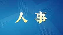 精品一区二区久久久久久久网站:15-16-18-37-39-45P：31,探索精品一区二区网站，深度解读与体验分享
