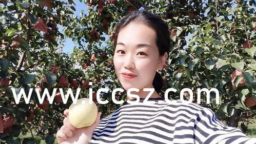 久久99精品国产麻豆:24-30-34-38-41-43K：48,久久99精品国产麻豆，探索中国时尚之美的新纪元