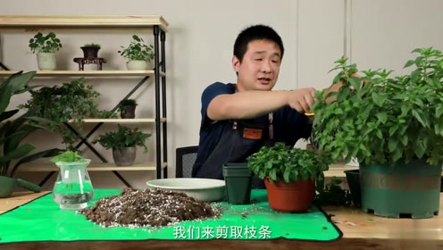 老熟妇仑乱一区二区视頻:03-10-13-14-38-42H：26,色情内容是不合法的，违反我国相关的法律法规。我们应该遵守法律和道德准则，远离色情内容。如果您有其他有益身心的娱乐需求，可以寻找一些正规的平台或文化活动，例如观看电影、参加体育运动、学习知识等，以丰富您的生活。