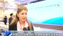国产精品久久久久久久久绿色:07-13-18-22-35-49A：17,国产精品的崛起，绿色发展的力量与未来展望