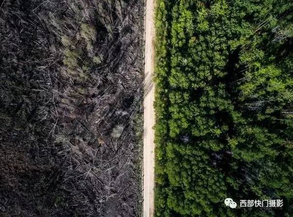 真实乱子伦露脸自拍:09-11-27-29-39-42H:39,真实乱子伦露脸自拍背后的故事