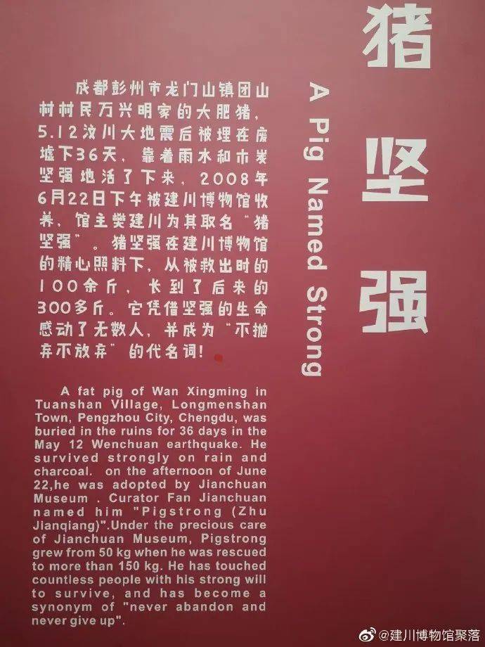 亚洲人成网线在线VA播放:07-14-20-23-37-44Q：36,亚洲人成网线在线VA播放的新趋势，探索数字时代的文化交融与娱乐新境界
