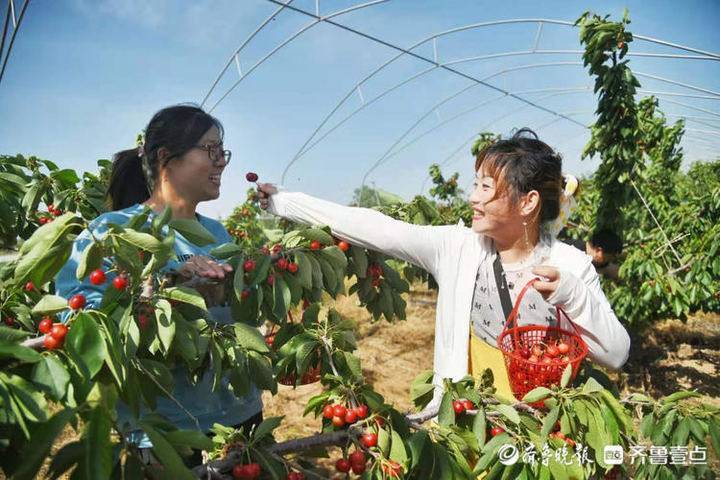 国产在线不卡人成视频:08-09-10-27-30-31F：31,国产在线视频，探索不卡人的优质体验时代（08-09至31F）