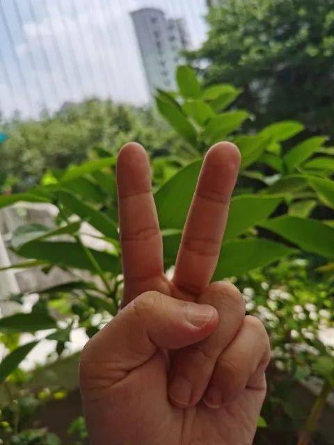 梨黄 第2页